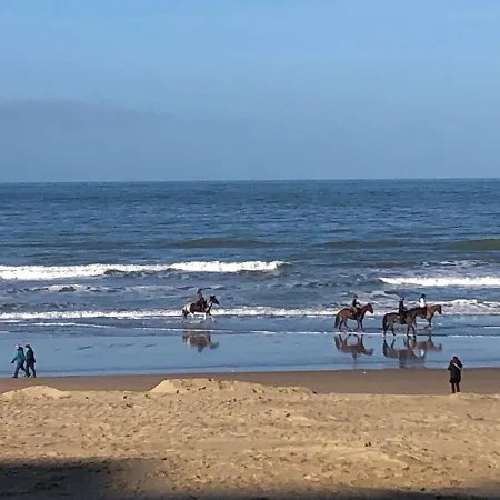 Sea-senses Com/blue Moon شقة كوكسيجدي